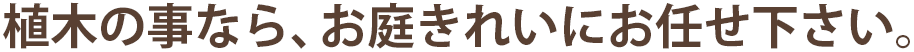 植木の事なら、お庭きれいにお任せ下さい。