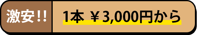 1本3000円から